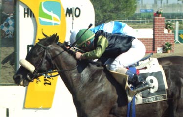 MISTER QUINI. Foto: EquipoZoom