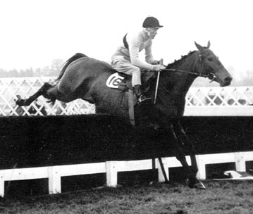 ARKLE, uno de los dos únicos caballos capaces de vencer en esta carrera en tres ocasiones.