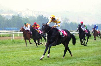 CADFAEL ganando la primera carrera de potros de dos años en San Sebastian batiendo el record de la pista para la distancia. Foto: EquipoZoom.