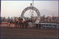 Imagen de una carrera en el hipódromo de Chile