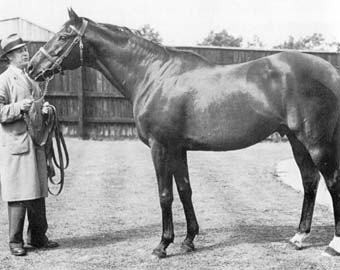 NEARCO.