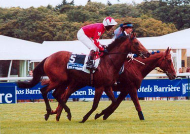 ROCK OF GIBRALTAR ha sido nominado como Caballo del Año