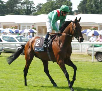 Una nueva victoria de John Oxx en Royal Ascot. Foto: Jesús de Miguel