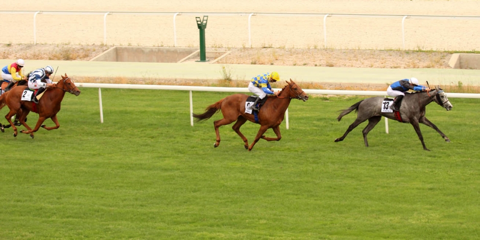 Winfola (E. Revolte) se impone en el Beamonte. Foto: A Galopar Winfola. Foto: