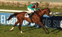 Madrileño (V.Janacek) se impone en el Gran Premio. Foto: Luis Horcajada - Hz Madrileño. Foto: