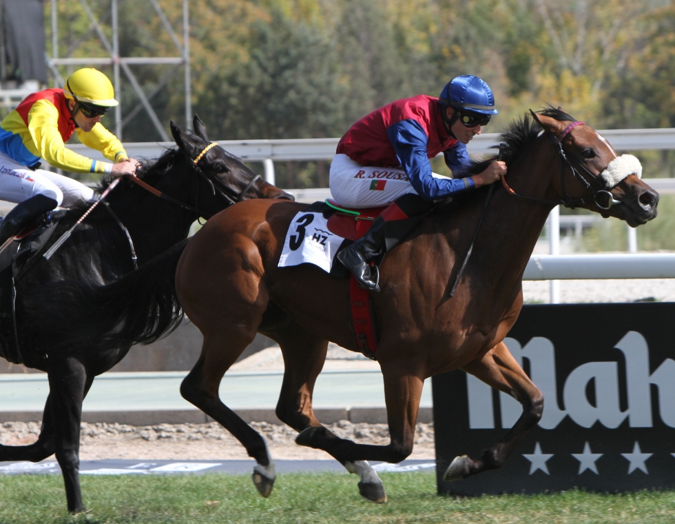 Barbarigo (R.Sousa) se lleva el premio Victoria Eugenia. Foto: A Galopar Lady Great. Foto: