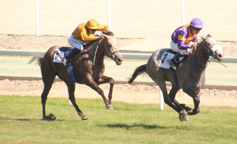 Lady Great (R.C.Montenegro) se lleva el premio Carlos Sobrino. Foto: A Galopar Lady Great. Foto: