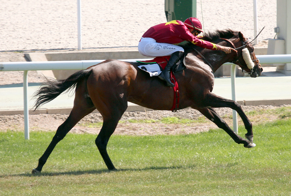 Noray (R.Sousa) repite su triunfo del año pasado. Foto: A Galopar-Hz Noray. Foto: