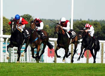 SUNDROP (10), PUNCTILIOUS (7) y MENHOUBAH (dcha.) escoltando a RED BLOOM (8) en el Meon Valley Stk. (G.I) en Ascot a dos años. Foto: Jesús de Miguel