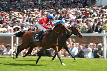 Los dos años de Cheveley Park aman Ascot. Tras RED BLOOM en el Meon Valley, ICEMAN se impone en el Coventry. Foto: Jesús de Miguel