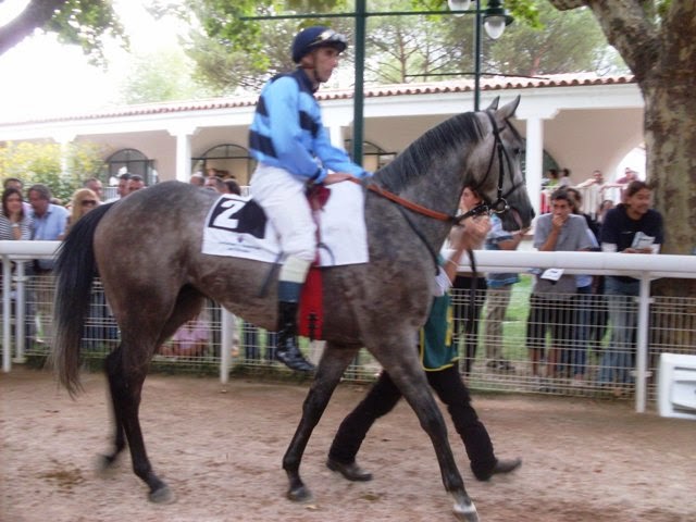 Alcano. Foto: Pedro Mercado Alcano. Foto: