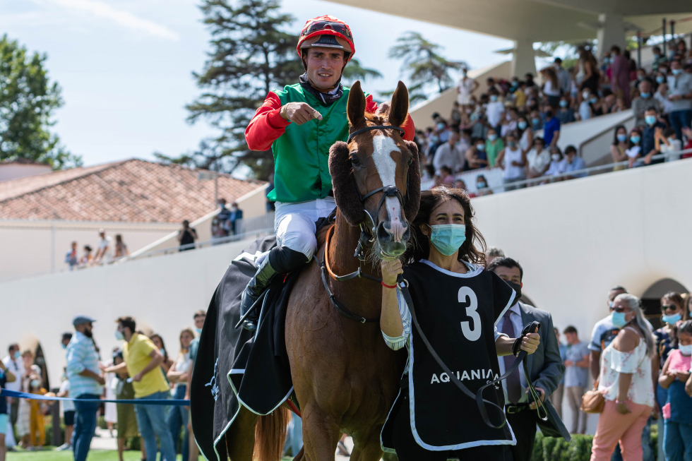 HARPIA (R. Sousa) la mejor del Benítez de Lugo. Foto: HZ Hardpia. Foto: