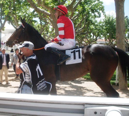 Antonella (J.L.Martínez) se impone en el San Isidro. Foto: Pedro Mercado Antonella. Foto: