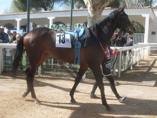 Zubieta, primera del Quinta de la Enjarada. Foto: Pedro Mercado Zubieta. Foto: