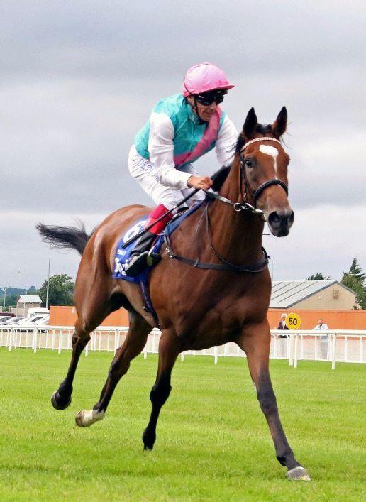 Enable favorita para el Arco. Foto: Equidia Enable. Foto: