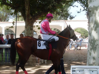 Captain Moonlite, caballo de record. Foto: Pedro Mercado Captain Moonlite. Foto: