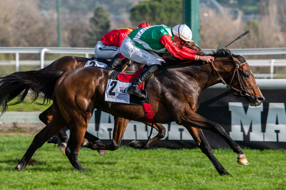 EMIN (R.Sousa) gana su segundo Gladiateur. Foto: HZ Emin. Foto: