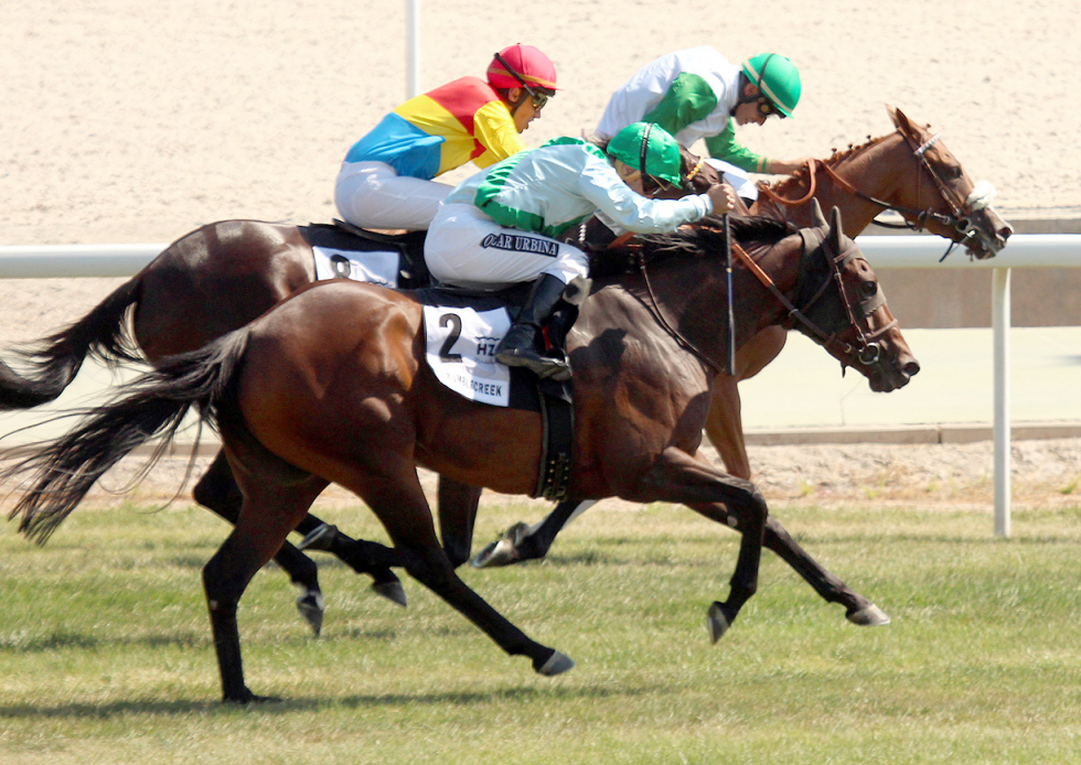 New Ialy Bareliere (R.Sousa), ganadora inesperada del Benítez de Lugo 2018. Foto: A Galopar-Hz New Ialy. Foto: