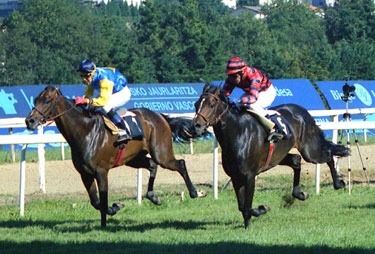 PINKCYOS repite su victoria del domingo precedente batiendo a PALLADO. Foto: EquipoZoom
