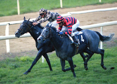 Con Rouge Captif ,el jinete Jorge Horcajada completó su tercera victoria en la tarde. Foto: EquipoZoom