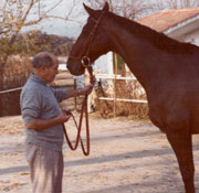 Foto: masdecaballos.com