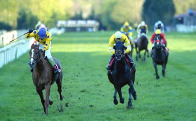 Foto de la llegada del Premio Casino Kursaal, la prueba más importante del domingo. DOUBLON (con lunares) se impone a KARLSBAD (blinkers) con el resto lejos. Foto: EquipoZomm.