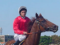 TIE THE KNOT y Patrick Payne