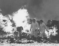 Holocausto en Gran Bretaña debido a las medidas contra la expansión de la epidemia.