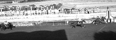 BALADA ganando el GPSS de 1.983 que se corrió en Madrid. Foto: EquipoZoom
