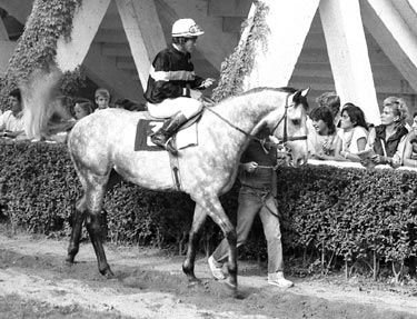 Foto de Colorines primer ganador del G:Vasco en 1.982. El Jinete es Antonio Fernández. Foto: EquipoZoom
