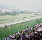 Imagen de la Copa de Oro del 96