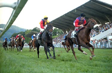 Foto de la llegada de Enharmonic el caballo de la reine de Inglaterra ganador del G.Vasco de 1.993. Foto: EquipoZoom