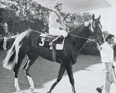 Chacal (Le Levanstell y Polar Point), de la Cuadra   Rosales, montado por Claudio Carudel, fue el gran triunfador en el Hipódromo de la   Zarzuela  en el año 1974 