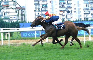 FLORHILL bate por la mínima a EL BOSS en la prueba de dos años. Foto: EquipoZoom