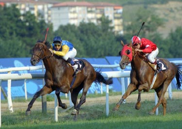 PALLADO fácilmente en la 1ª parte del Hándicap desdoblado. Foto: EquipoZoom