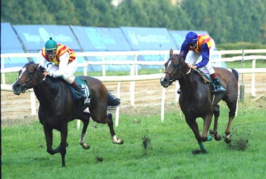 LA CIBELES sorprende al Favorito SAND FALCON gracias a una monta magistral de José Luis Mratínez. . Foto: EquipoZoom