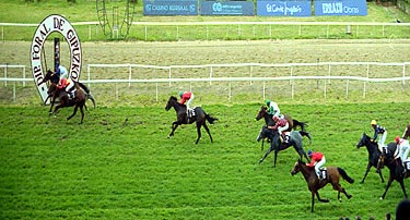 ANDALUZ cazó en el mismo poste al gran favorito MIJATOVIC. Foto: EquipoZoom