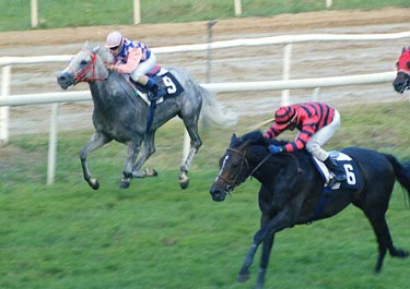 PINKYOS por el exterior se impone al tordo CRYSTAL DOUN. Foto: EquipoZoom