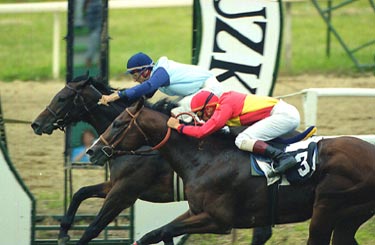 La llegada mas ajustada de la jornada ANDALUZ obtiene un morro de ventaja sobre el favorito MIJATOVIC. Foto: EquipoZoom