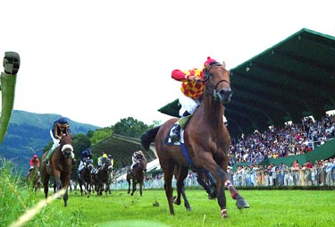 La 1ª jornada de verano de Lasarte. EL BOSS (J.M.Borrego) causa muy buena impresión imponiendose en la prueba para dos años. Foto: EquipoZoom