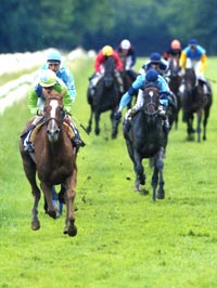 Llegada de la 3ª carrera. GOLDEN MARVELLOUS (J.L.Martínez) gana muy fácilmente la 1ª parte del Handicap desdoblado. Foto: EquipoZoom