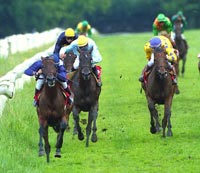 Llegada de la carrera principal.POINCIANA barrió a sus oponentes casi de punta a punta y se erige como primera candidata para el KUTXA. Foto: EquipoZoom