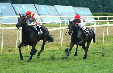 2ª carrera. ULZAMA no tiene problemas para dominar a AL FOREST, el resto lejos. Foto: EquipoZoom
