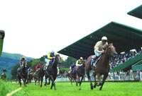 Llegada de la 1ª carrera. CONGOSTEÑA gana su primera carrera y la primera de la temporada montada por Roberto Montenegro. Foto: EquipoZoom