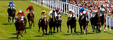 Imagen de una carrera en Goodwood