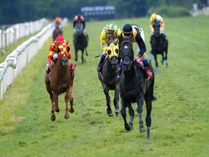 JAFAR juega con sus oponentes en la preparatoria para la COPA DE ORO y se erige en máximo favorito entre los entrenados en España para la gran pruebab del verano.Foto: EquipoZoom