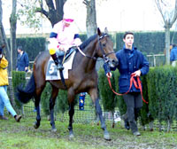 Foto de PARTIZUGH ,que al ganar el domingo el Premio Willow, se convierte en el primer hijo de Partipral que gana una carrera. Foto: EquipoZoom.