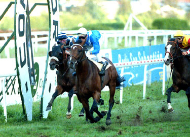 PETIT LOUP Copa de Oro 1992. Foto: EquipoZoom
