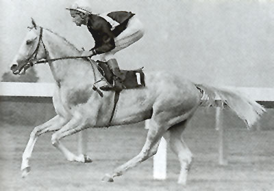 Lester Piggott con BRUNI (Sea Hawk y Bombazine por Shantung).