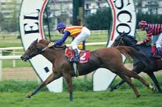 Llegada del Premio Diario Vasco: SAND FALCON y DON GOYA. Foto: EquipoZoom.